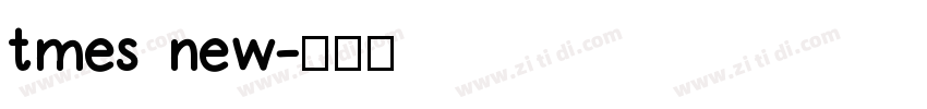 tmes new字体转换